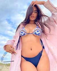 Mumbai Hotel escorts